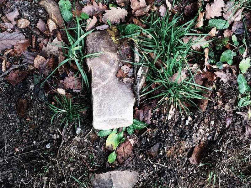 Yes, the matrix is real, here's how to escape it